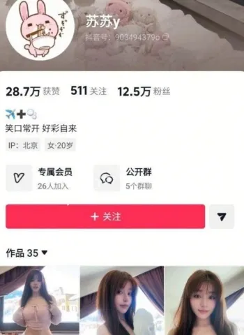 苏苏y